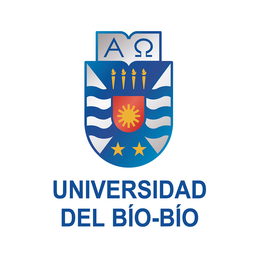 Image result for universidad del bio bio